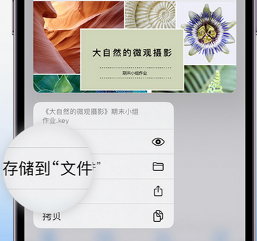 历下apple维修中心分享iPhone文件应用中存储和找到下载文件