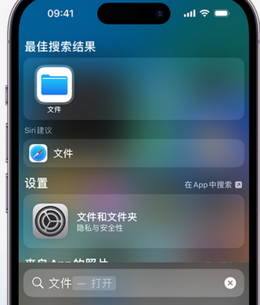 历下apple维修中心分享iPhone文件应用中存储和找到下载文件 