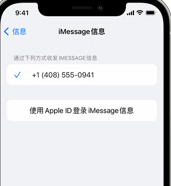 历下apple维修iPhone上无法正常发送iMessage信息