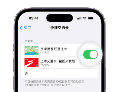 历下apple维修点分享iPhone上更换Apple Pay快捷交通卡手绘卡面 