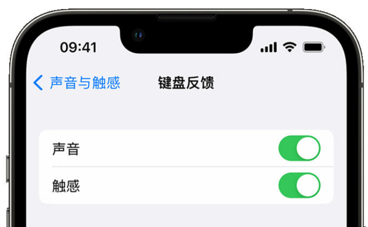 历下苹果手机维修分享iPhone 14触感键盘使用方法 