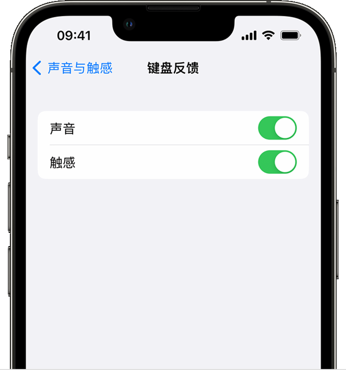 历下苹果14维修店分享如何在 iPhone 14 机型中使用触感键盘 