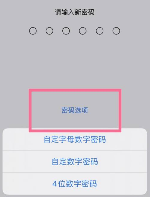 历下苹果14维修分享iPhone 14plus设置密码的方法 